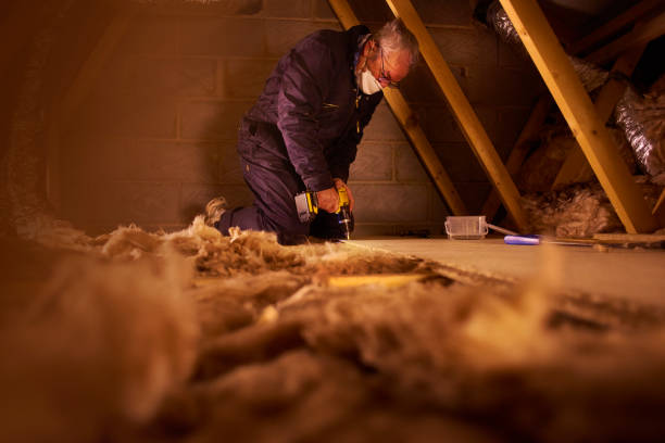 Best Commercial Insulation Services  in Downs, IL